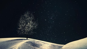 Lone tree, Crescent Moon, Night, Starry sky, Night sky, Winter, Cold, Surreal, 4K wallpaper