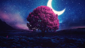 Aesthetic, Lone tree, Crescent Moon, Half moon, Starry sky, Night, Lake, Girly backgrounds, Night sky, 4K wallpaper