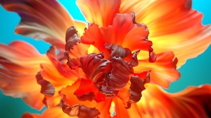 Orange flower, Floral Background, Colorful, 3D background, Digital Art, 4K wallpaper