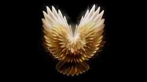 Angel wings, Golden yellow, AMOLED, Tecno Phantom V Fold 2 Stock, Black background, 4K wallpaper