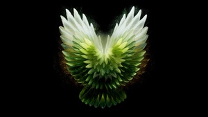 Angel wings, Green aesthetic, Tecno Phantom V Fold 2 Stock, Black background, AMOLED, 12K, 4K wallpaper