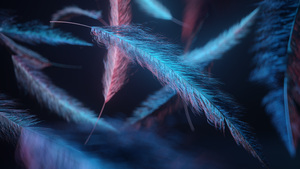 Feathers, Macro, Dark background, Blue light, Digital illustration, Dark aesthetic, 4K wallpaper
