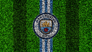 Manchester City FC, Grass field, Football team, Green background, Premier League club, 4K wallpaper