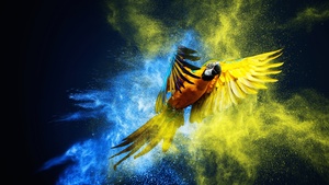 Blue-and-yellow macaw, Macaw, Colorful background, Color burst, Girly backgrounds, 4K wallpaper