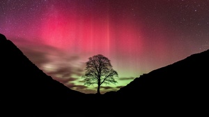 Aurora sky, Northern Lights, Silhouette, Night, Pink sky, 4K wallpaper