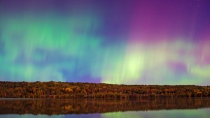 Aurora sky, Aesthetic, Forest Trees, Body of Water, Reflection, Northern Lights, Aurora Borealis, Beautiful, Landscape, 4K wallpaper