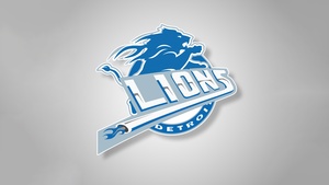 Detroit Lions, Emblem, American football team, NFL team, 4K wallpaper