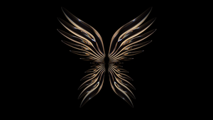 Angel wings, Huawei P50 Pocket, Stock, Black background, AMOLED, 4K wallpaper