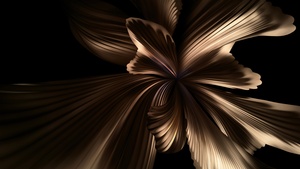 Huawei P50 Pocket, Black background, Stock, 4K wallpaper