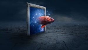 Photo Manipulation, Fantasy artwork, Galaxy, Stars, Illustration, 4K wallpaper