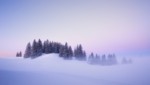 Winter, Snow covered, Foggy, Trees, Landscape, Blue hour, Switzerland, Sunrise, Mist, Cold, 4K wallpaper