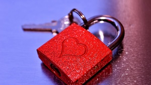 Connections, Valentines Day, Heart shape, Together, Selective Focus, February, 4K wallpaper