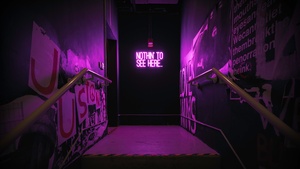 Nothing to See Here, Purple aesthetic, Neon sign, Purple light, 4K wallpaper