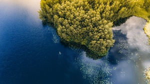 Green Forest, Trees, Aerial view, Body of Water, Birds eye view, Lake, Landscape, 4K wallpaper