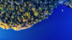 Coast, Island, Green Trees, Aerial view, Blue Ocean, Birds eye view, Landscape, 4K wallpaper