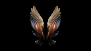 Samsung Galaxy W22, Wings, Black background, Stock, Fold phone, 4K wallpaper