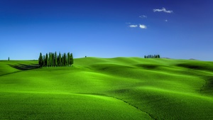 Green Meadow, Tuscany, Italy, Clear sky, Landscape, Blue Sky, Spring, 4K wallpaper