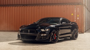 Shelby GT500, Outdoor, Ford Mustang Shelby GT500, Black cars, 4K wallpaper
