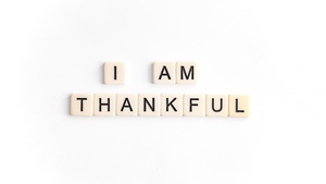 Happy Thanksgiving, Thankful, Thanksgiving Day, White background, 4K wallpaper