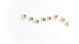 Thankful, Happy Thanksgiving, Thanksgiving Day, White background, 4K wallpaper