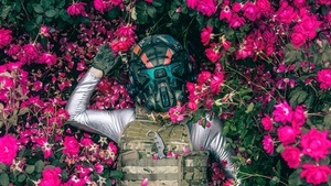 Suit, Mask, Armor, Extinction, Pink flowers, Floral, Lying down, Aerial view, 4K wallpaper