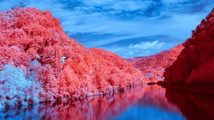 Scenery, Lake, Blue Sky, Forest, Reflection, Scenic, Clouds, 4K wallpaper