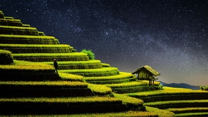 Terrace farming, Rice fields, Agriculture, Countryside, Landscape, Greenery, Paddy fields, Starry sky, Night time, 4K wallpaper