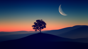 Solitude Tree, Crescent Moon, Silhouette, Sunset, Dusk, Landscape, Scenic, Clear sky, 4K wallpaper