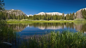Lake, Scenery, Mountains, Forest, Sunny day, Summer, Reflections, Body of Water, Landscape, Blue Sky, 4K wallpaper
