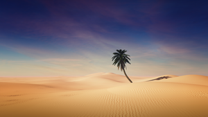 Palm tree, Desert, Sand Dunes, Clear sky, Shadow, Sunny day, 4K wallpaper