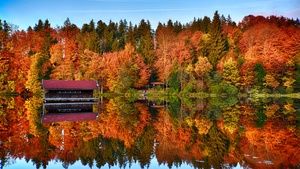 Autumn trees, Mirror Lake, Forest, Reflection, Wooden House, Landscape, Scenery, 4K wallpaper