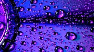Water droplets, Macro, Purple light, Closeup, CD, Vivid, Bright, 4K wallpaper