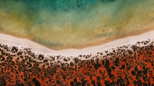 Beach, Mi Pad 5 Pro, Aerial view, Drone photo, Seashore, Stock, 4K wallpaper