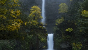 Oregon, Forest, Waterfalls, Green Moss, Rocks, Cliff, Greenery, Bridge, Landscape, Scenery, 4K wallpaper