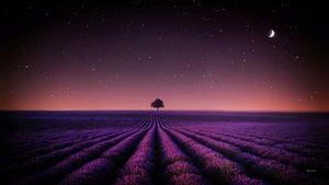 Lavender fields, Solitude Tree, Crescent Moon, Stars, Night sky, Horizon, Pattern, Landscape, Scenery, 4K wallpaper