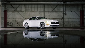 Ford Mustang GT, 2022, White cars, 4K wallpaper