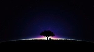 Couple, Stars in sky, Night, Romantic, Dark Sky, Lone tree, Silhouette, Together, Starry sky, 4K wallpaper