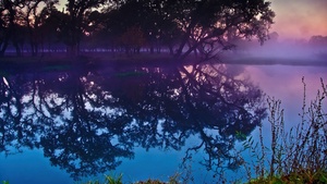 Trees, Lake, Reflections, Colorful, Sunset, California, Body of Water, 4K wallpaper