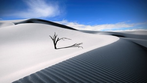 Sand Dunes, Lone tree, Desert, Blue Sky, Landscape, Digital composition, Aesthetic, 4K wallpaper