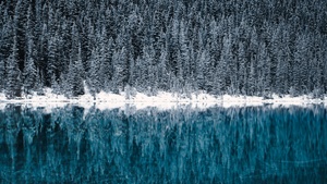 Lake Louise, Winter, Cold, Reflections, Pine trees, Frozen, Snow covered, Turquoise water, Banff National Park, Canada, 4K wallpaper