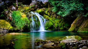 Tropical forest, Waterfall, Green, Landscape, France, Mossy rocks, 4K wallpaper