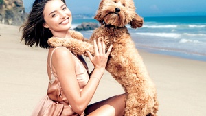 Miranda Kerr, Pet dog, Beach, Photoshoot, 4K wallpaper