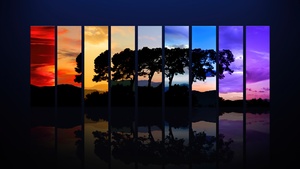 Tree, Sunset, Daylight, Evening, Night, Twilight, Spectrum, Silhouette, Morning, Sunrise, Reflection, Dark, 4K wallpaper