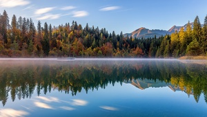 Autumn trees, Switzerland, Reflection, Mirror Lake, Fog, Landscape, Scenery, 4K wallpaper