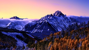 Colorado, Snow covered, Aspen trees, Fog, Purple sky, Morning, Glacier, Beautiful, 4K wallpaper