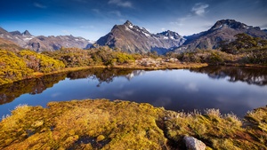 New Zealand, Lake, Reflection, Green Moss, Mountain range, Landscape, Green Trees, Clear sky, 4K wallpaper