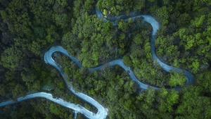 Forest, Cold, Road, Aerial view, Drone photo, Landscape, 4K wallpaper