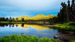 Rocky Mountain National Park, Colorado, Landscape, Green Trees, Blue Sky, Beautiful, Scenery, Reflection, 4K wallpaper
