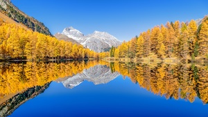 Lai da Palpuogna, Autumn trees, Mountain lake, Reflection, Albula Pass, Clear sky, Landscape, Scenery, 4K wallpaper