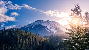 Snow mountains, Pine trees, Clear sky, Clouds, Sunset, Mountain range, 4K wallpaper